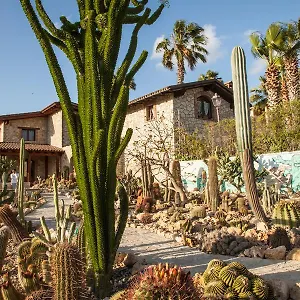Garden Cactus Landhuis